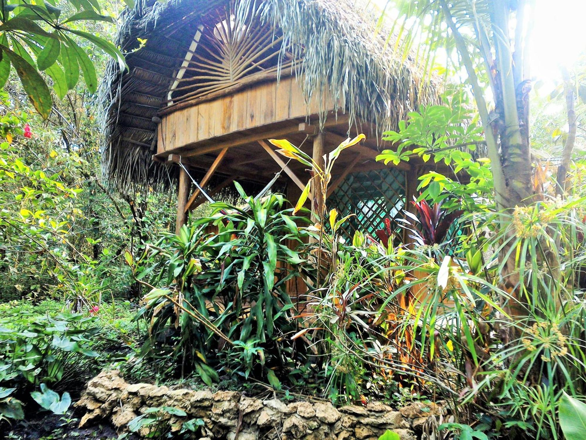 El Hotelito Perdido Izabal Exterior photo